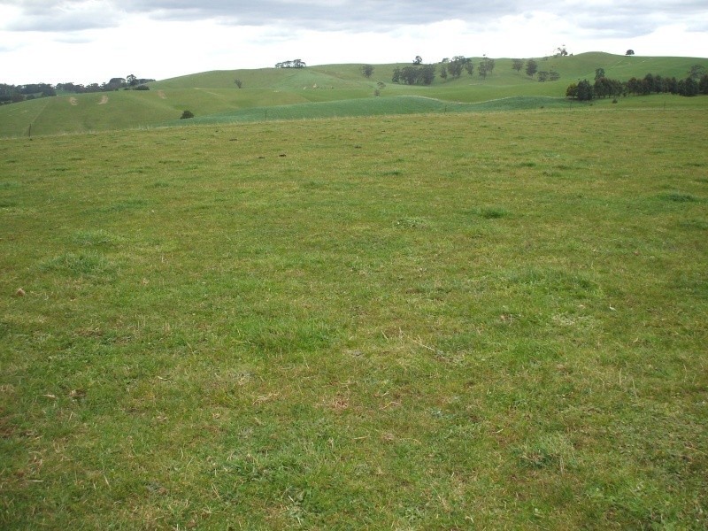 300 Grandridge Road, Mirboo North VIC 3871