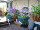 82 Whitehall Street, Mayfair Gardens, Traralgon VIC 3844