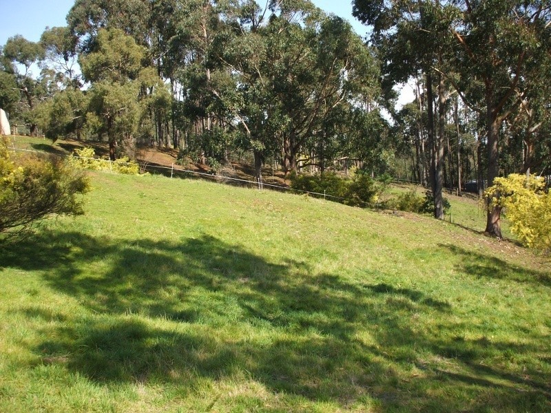 3 Hilltop Court, Mirboo North VIC 3871