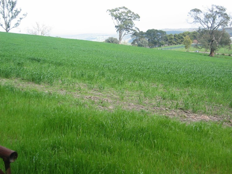 124 Stradbroke Road, Gormandale VIC 3873