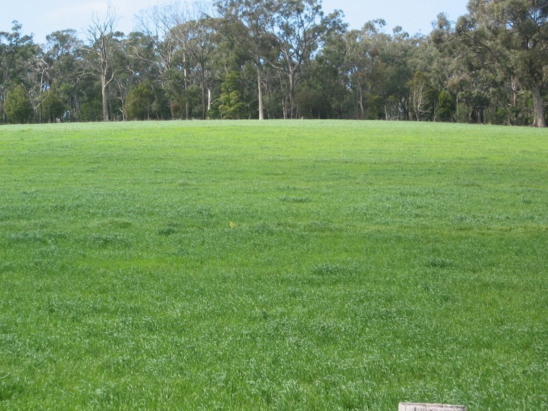 124 Stradbroke Road, Gormandale VIC 3873