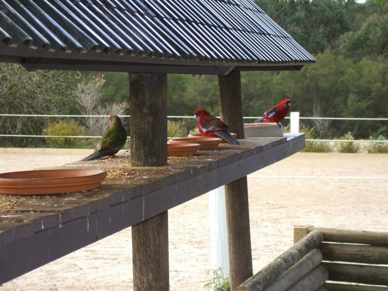 145 McIntosh’s Road, Boolarra VIC 3870