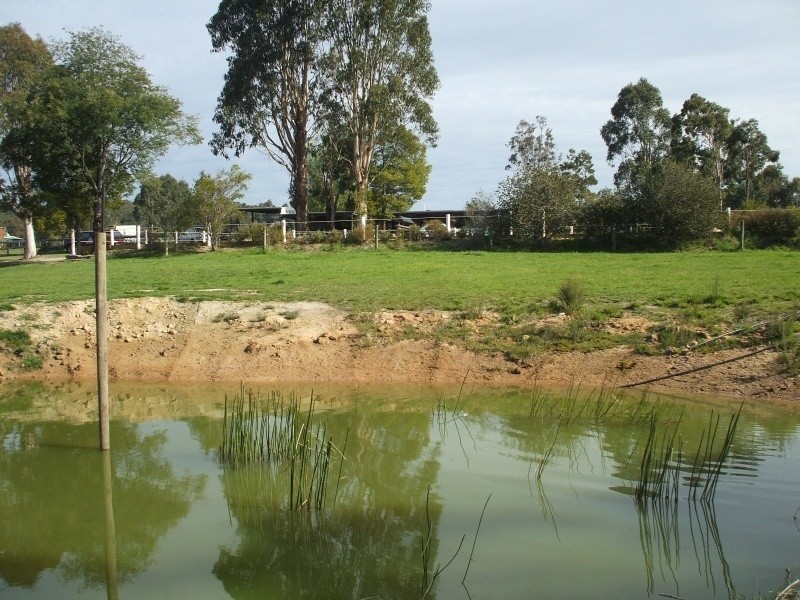 145 McIntosh’s Road, Boolarra VIC 3870