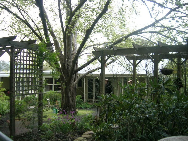 400 Whitelaws Track, Yinnar VIC 3869