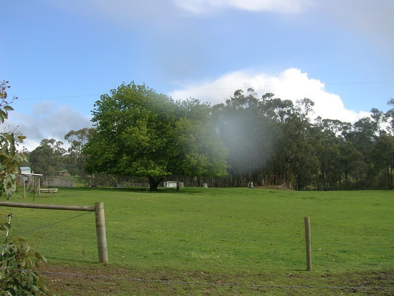 400 Whitelaws Track, Yinnar VIC 3869