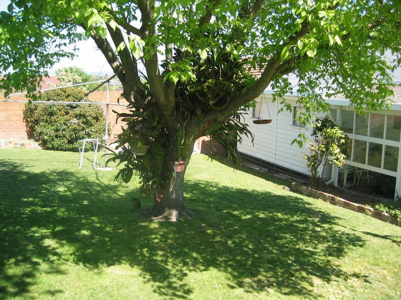 26 Cynthia Street, Morwell VIC 3840