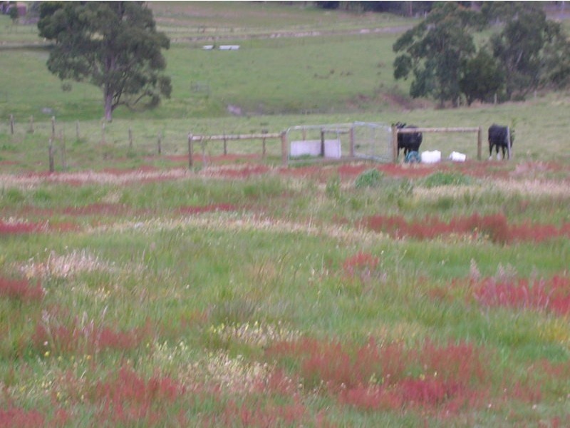 19 O’Donnell Court, Hazelwood North VIC 3840