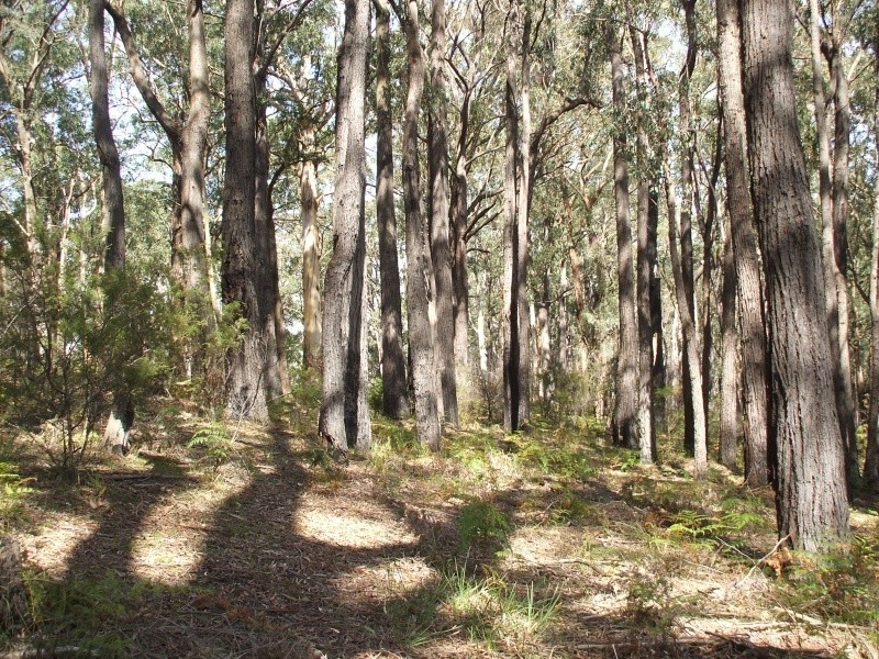 3755 Grandridge Road, Mirboo North VIC 3871