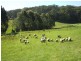 3755 Grandridge Road, Mirboo North VIC 3871