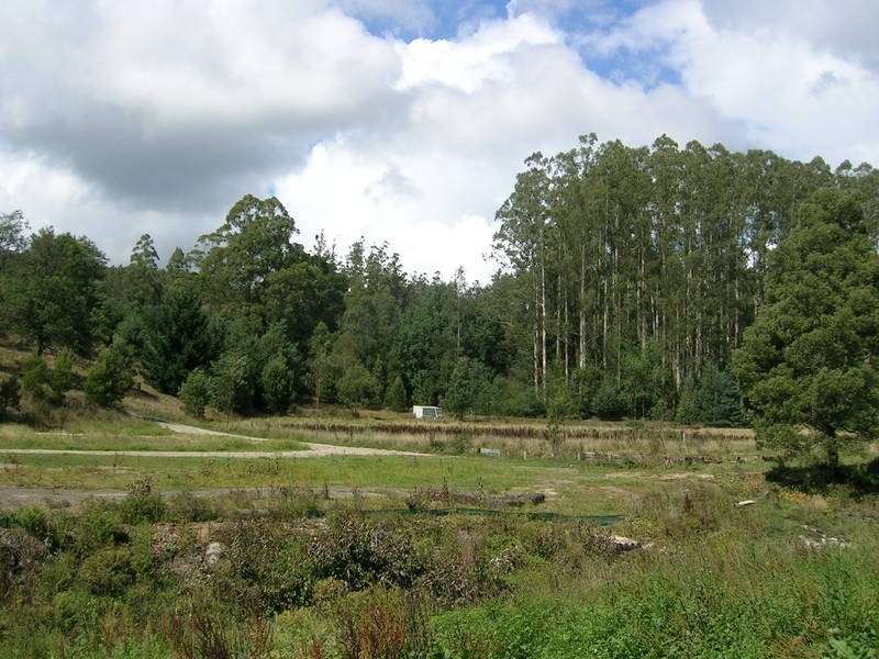 Corner / Olsens & Hatchery Road, Boolarra South VIC 3870