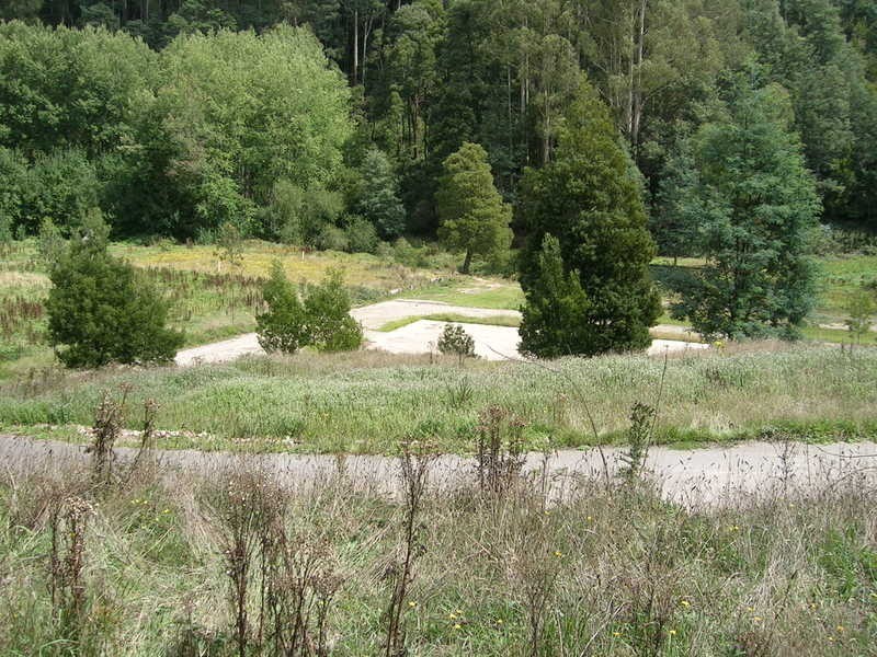 Corner / Olsens & Hatchery Road, Boolarra South VIC 3870