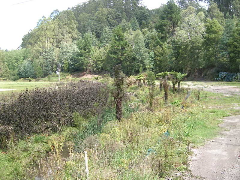 Corner / Olsens & Hatchery Road, Boolarra South VIC 3870