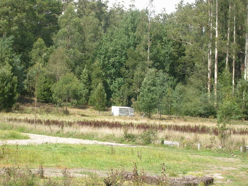 Corner / Olsens & Hatchery Road, Boolarra South VIC 3870