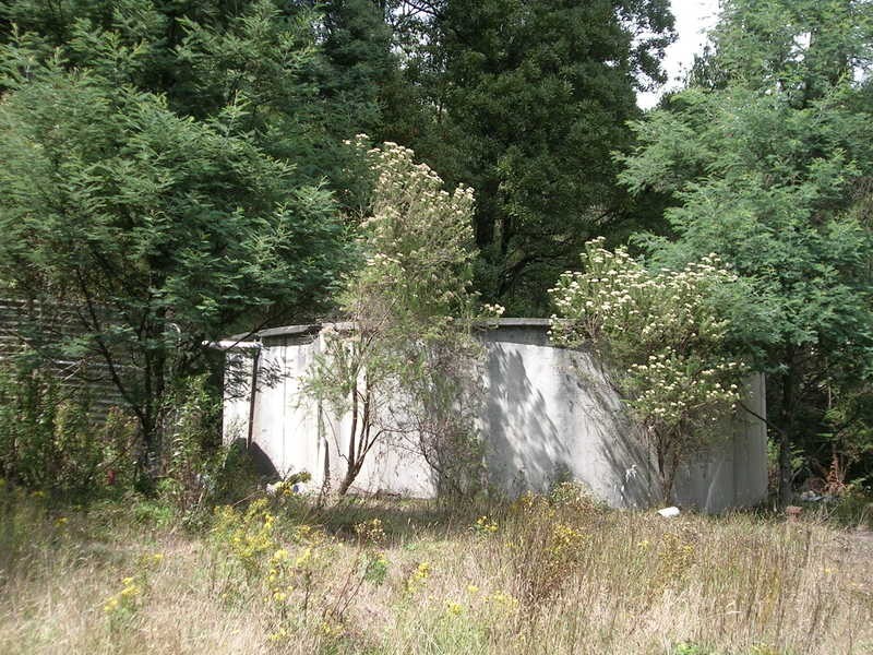 Corner / Olsens & Hatchery Road, Boolarra South VIC 3870