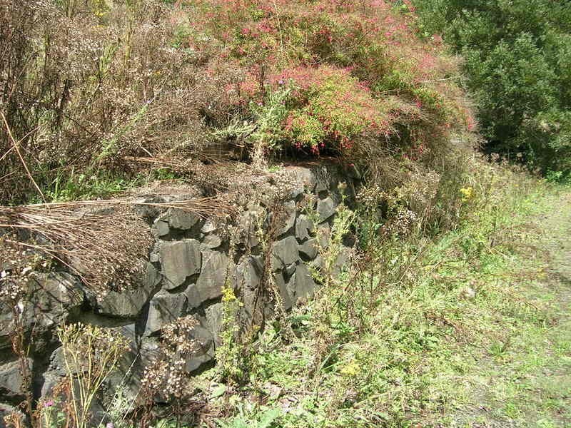 Corner / Olsens & Hatchery Road, Boolarra South VIC 3870