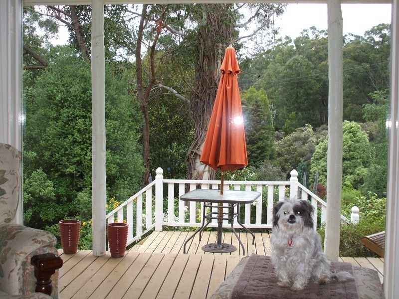 10 Galvins Road, Mirboo North VIC 3871