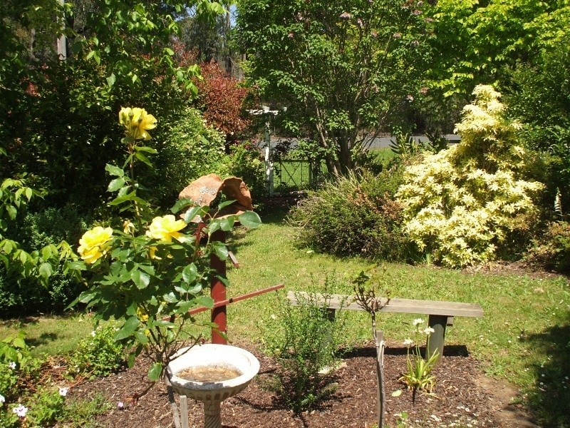 10 Galvins Road, Mirboo North VIC 3871