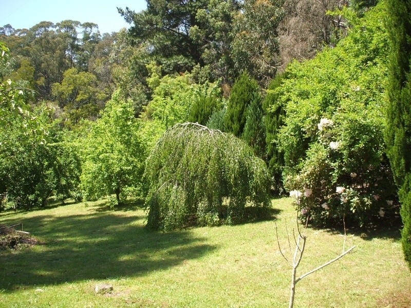 10 Galvins Road, Mirboo North VIC 3871