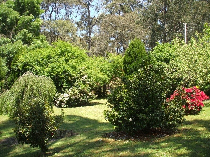 10 Galvins Road, Mirboo North VIC 3871