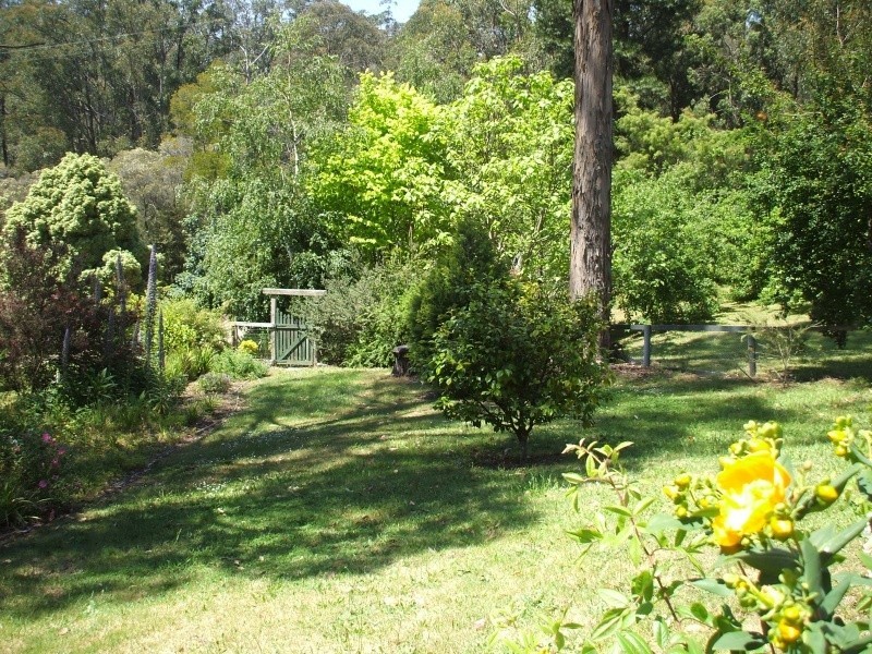 10 Galvins Road, Mirboo North VIC 3871