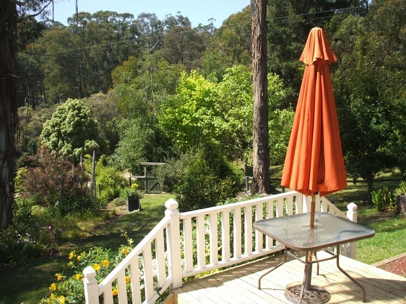 10 Galvins Road, Mirboo North VIC 3871