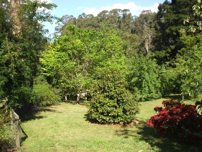 10 Galvins Road, Mirboo North VIC 3871