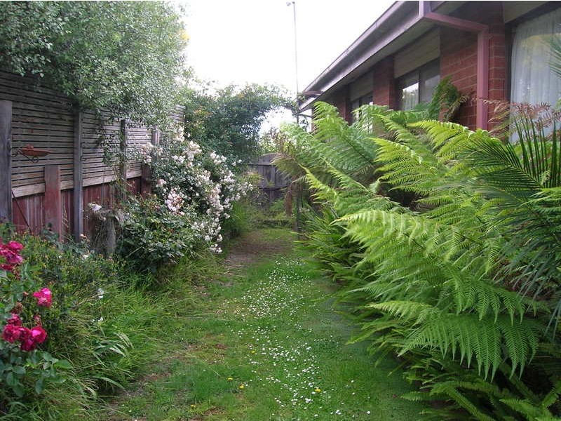 14 Willow Street, Churchill VIC 3842