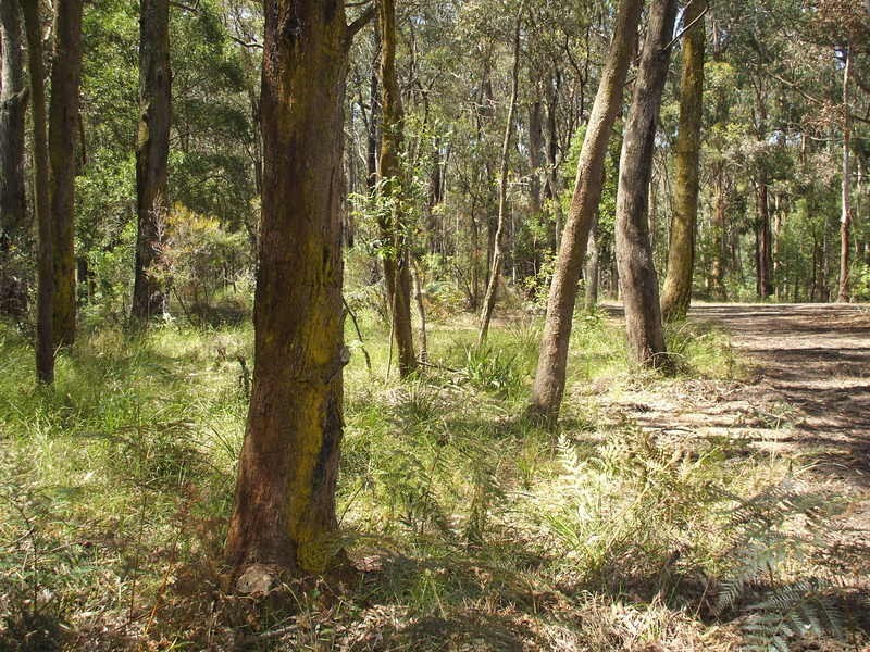 10 Cornell Road, Darlimurla VIC 3871