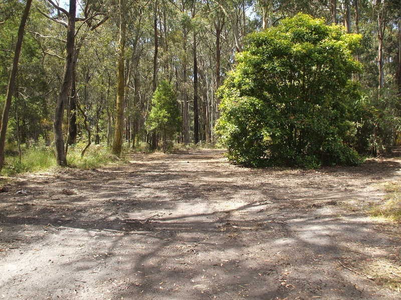 10 Cornell Road, Darlimurla VIC 3871