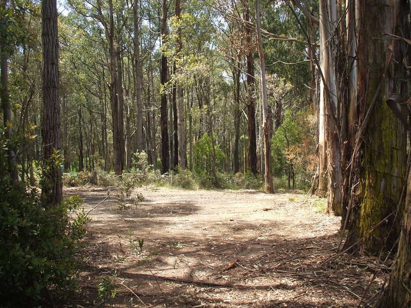 10 Cornell Road, Darlimurla VIC 3871