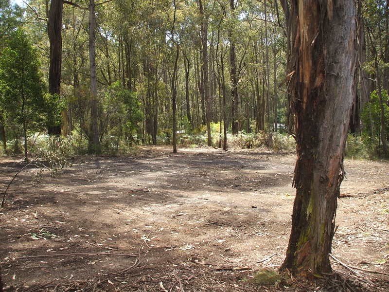 10 Cornell Road, Darlimurla VIC 3871
