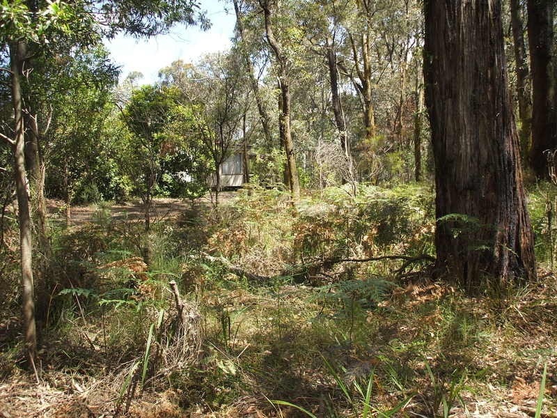 10 Cornell Road, Darlimurla VIC 3871
