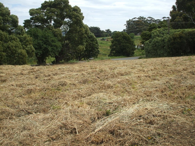 43 Giles & 7 Peters Street, Mirboo North VIC 3871