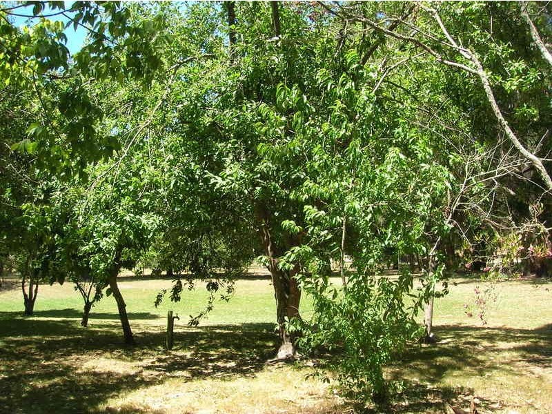 95 McIntoshs Road, Boolarra VIC 3870