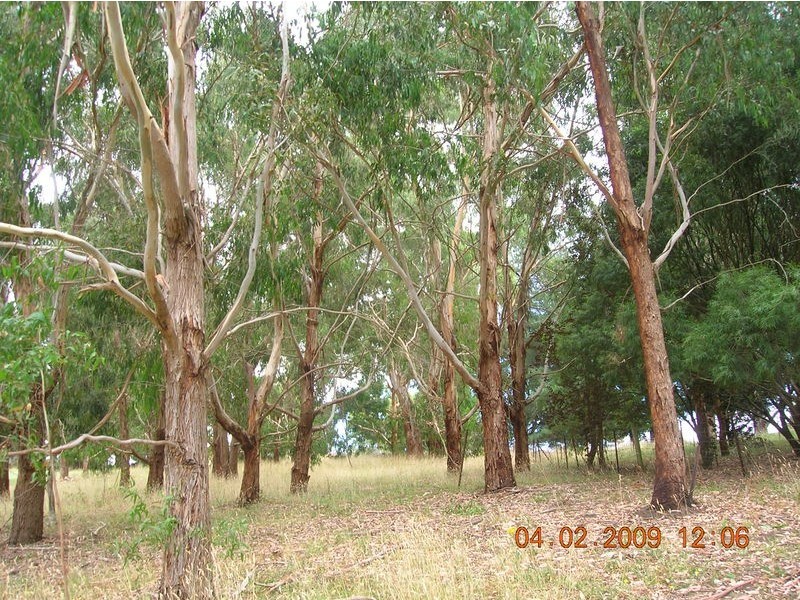 495 Prosper Valley Road, Boolarra VIC 3870