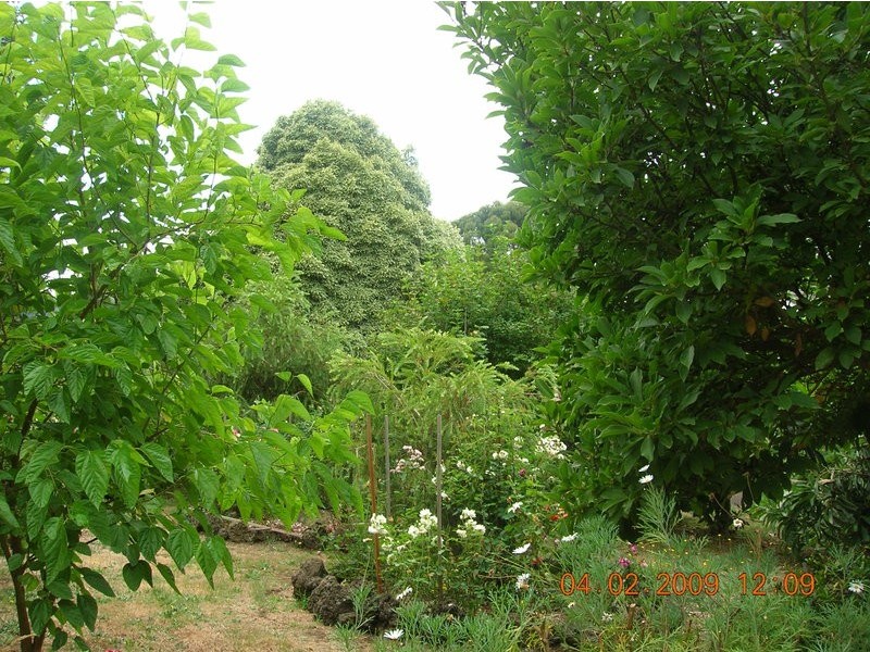 495 Prosper Valley Road, Boolarra VIC 3870