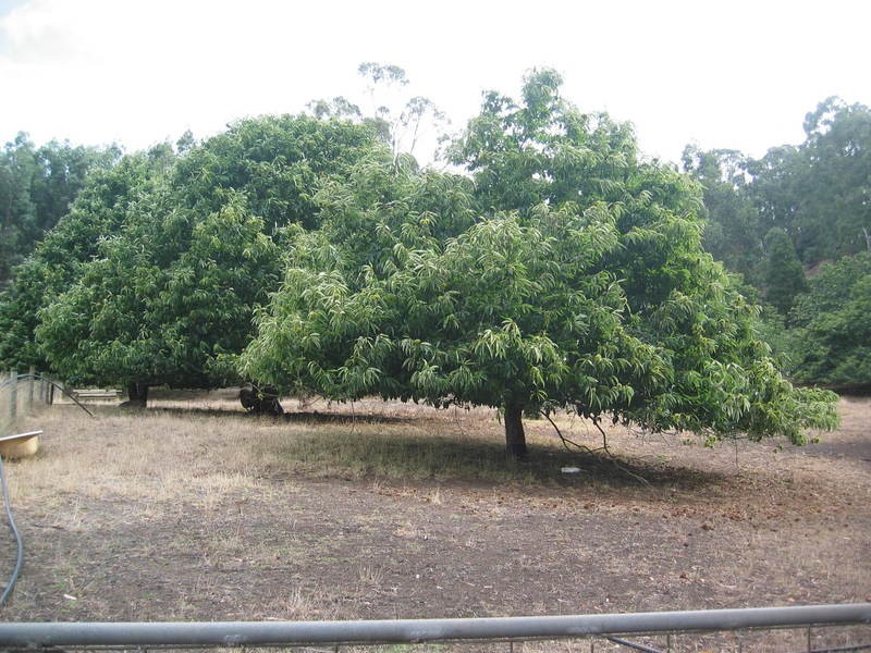 39 Banks Road, Gormandale VIC 3873