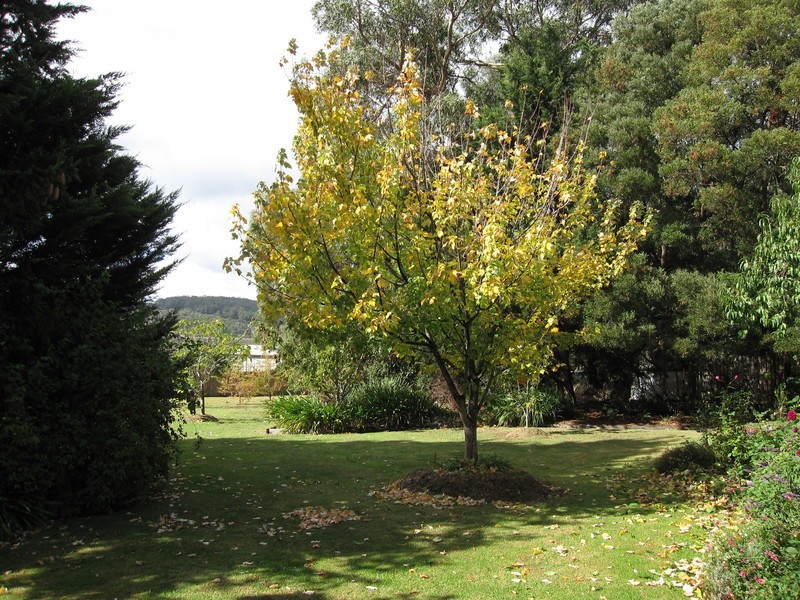 25 Church Street, Boolarra VIC 3870