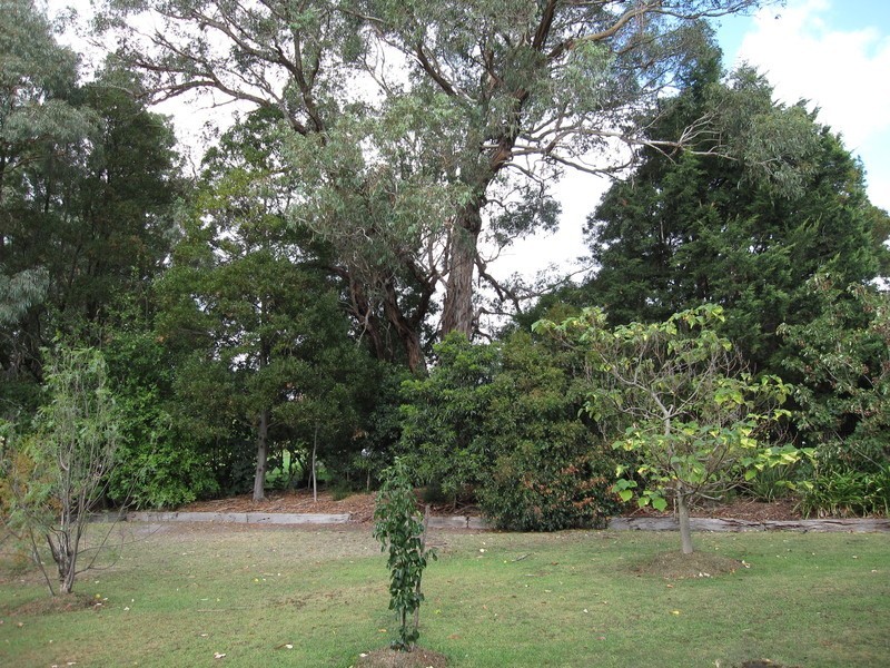 25 Church Street, Boolarra VIC 3870