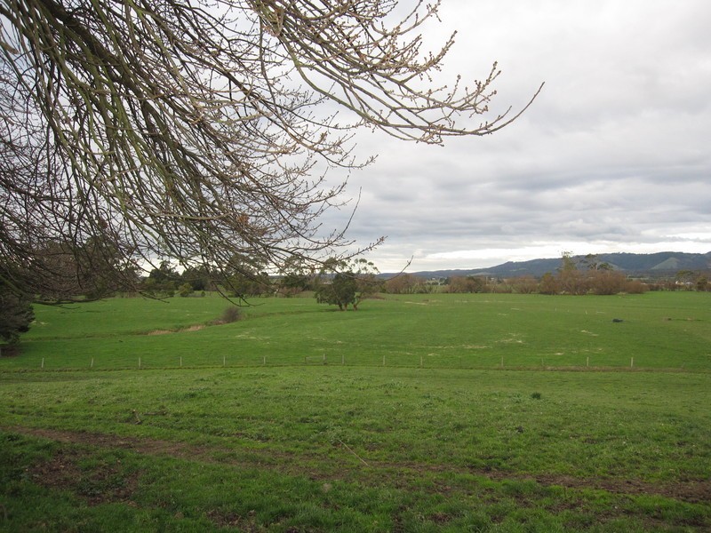 55 Speargrass Road, Yinnar VIC 3869