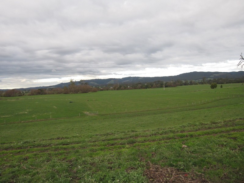 55 Speargrass Road, Yinnar VIC 3869