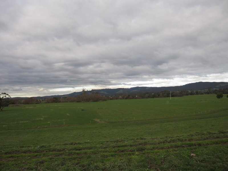 55 Speargrass Road, Yinnar VIC 3869