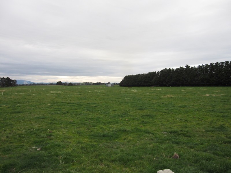 55 Speargrass Road, Yinnar VIC 3869