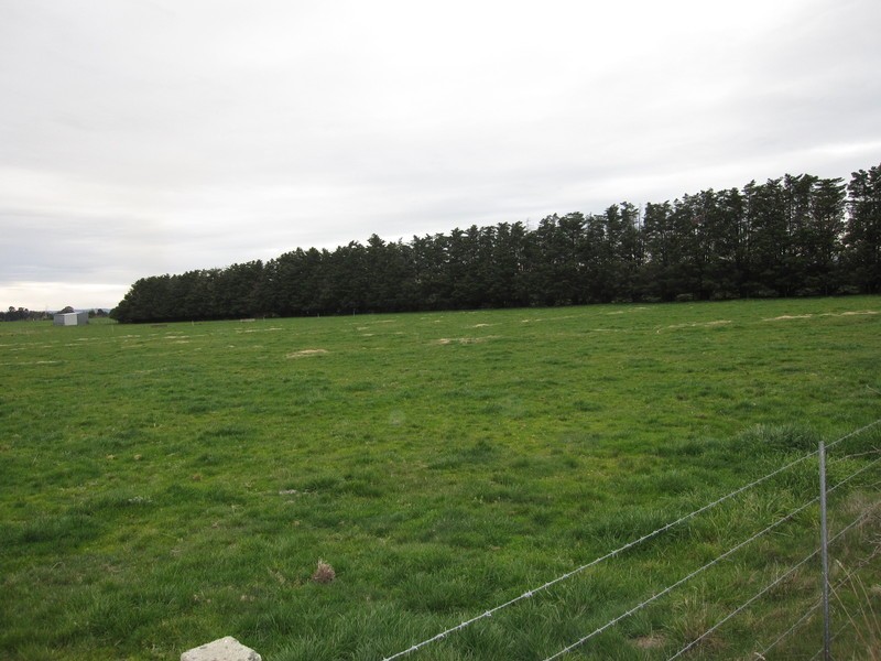 55 Speargrass Road, Yinnar VIC 3869