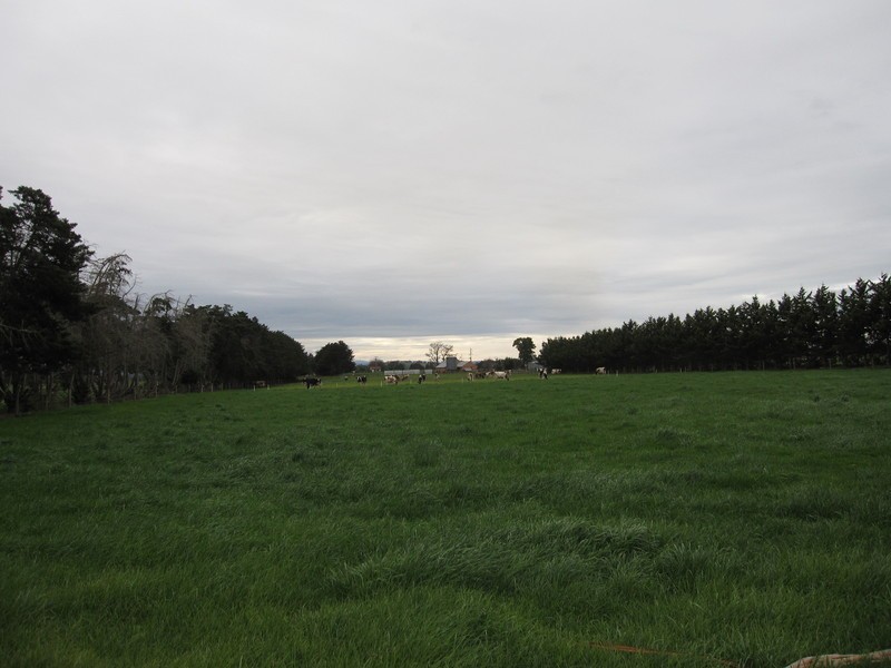 55 Speargrass Road, Yinnar VIC 3869