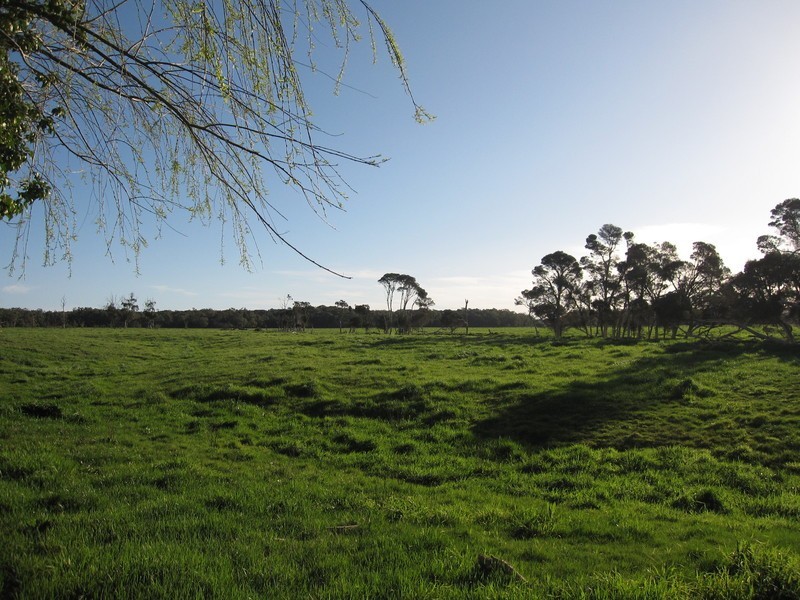 270 Speargrass Road, Yinnar VIC 3869