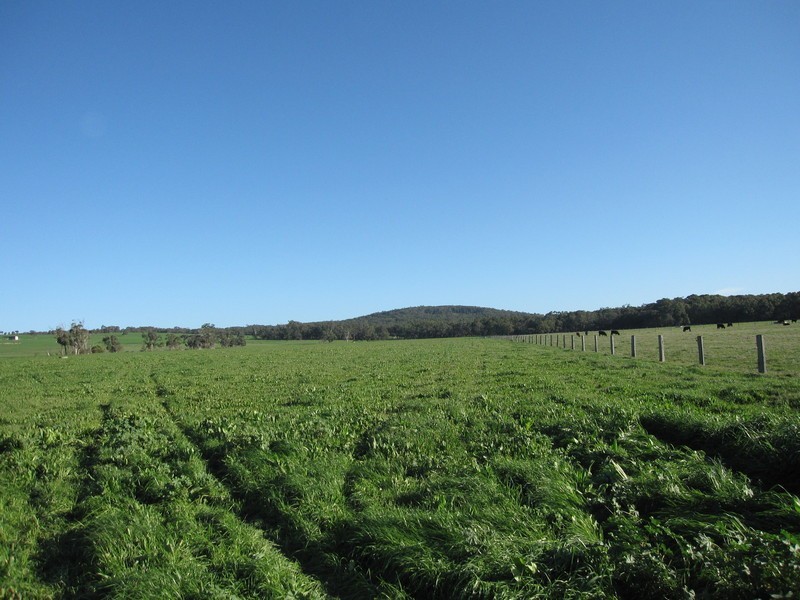 270 Speargrass Road, Yinnar VIC 3869