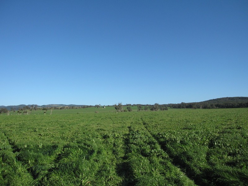 270 Speargrass Road, Yinnar VIC 3869