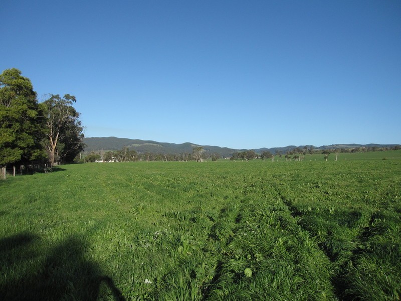 270 Speargrass Road, Yinnar VIC 3869