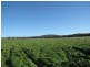270 Speargrass Road, Yinnar VIC 3869